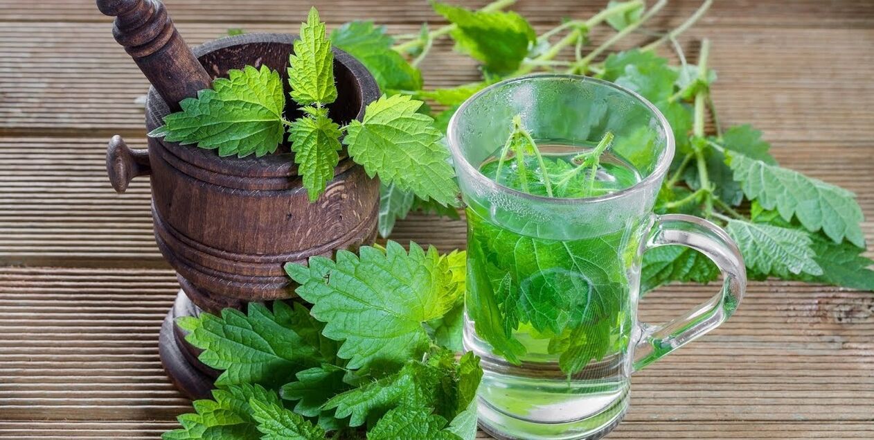decoction of nettle for potency